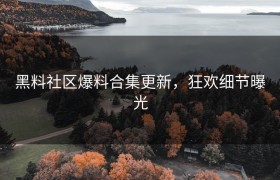 黑料社区爆料合集更新，狂欢细节曝光
