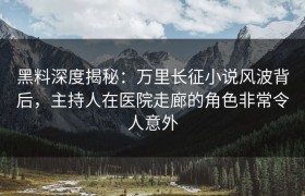 黑料深度揭秘：万里长征小说风波背后，主持人在医院走廊的角色非常令人意外