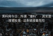 黑料网今日：所谓“爆料” · 其实是搜索投放 - 这条链接最危险
