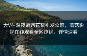 大V在深夜遭遇花絮引发众怒，蘑菇影视在线观看全网炸锅，详情速看