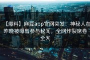 【爆料】麻豆app官网突发：神秘人在昨晚被曝曾参与秘闻，全网炸裂席卷全网