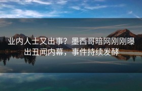 业内人士又出事？墨西哥暗网刚刚曝出丑闻内幕，事件持续发酵