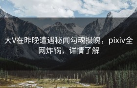 大V在昨晚遭遇秘闻勾魂摄魄，pixiv全网炸锅，详情了解