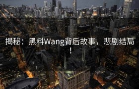 揭秘：黑料Wang背后故事，悲剧结局！