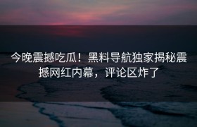 今晚震撼吃瓜！黑料导航独家揭秘震撼网红内幕，评论区炸了