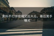 黑料不打烊官网又出大瓜，幕后黑手曝光