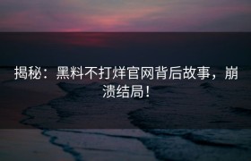 揭秘：黑料不打烊官网背后故事，崩溃结局！