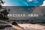 黑料王又出大瓜，内幕流出
