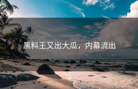黑料王又出大瓜，内幕流出
