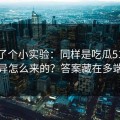 我做了个小实验：同样是吃瓜51，体验差异怎么来的？答案藏在多端适配