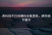 黑料网不打烊爆料合集更新，爆笑细节曝光