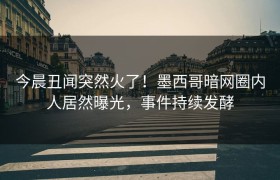 今晨丑闻突然火了！墨西哥暗网圈内人居然曝光，事件持续发酵