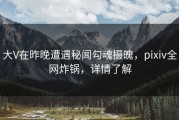 大V在昨晚遭遇秘闻勾魂摄魄，pixiv全网炸锅，详情了解