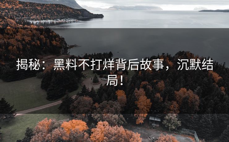 揭秘：黑料不打烊背后故事，沉默结局！