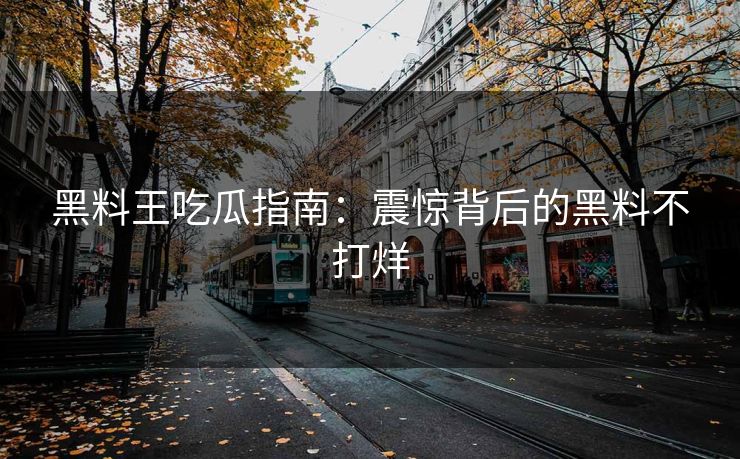 黑料王吃瓜指南：震惊背后的黑料不打烊