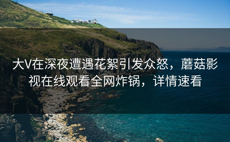 大V在深夜遭遇花絮引发众怒，蘑菇影视在线观看全网炸锅，详情速看